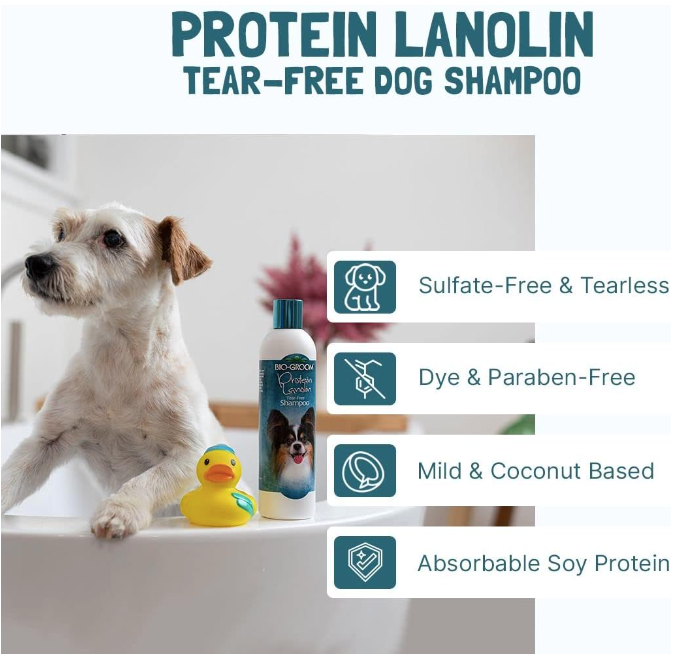 Protein lanolin tear free shampoo